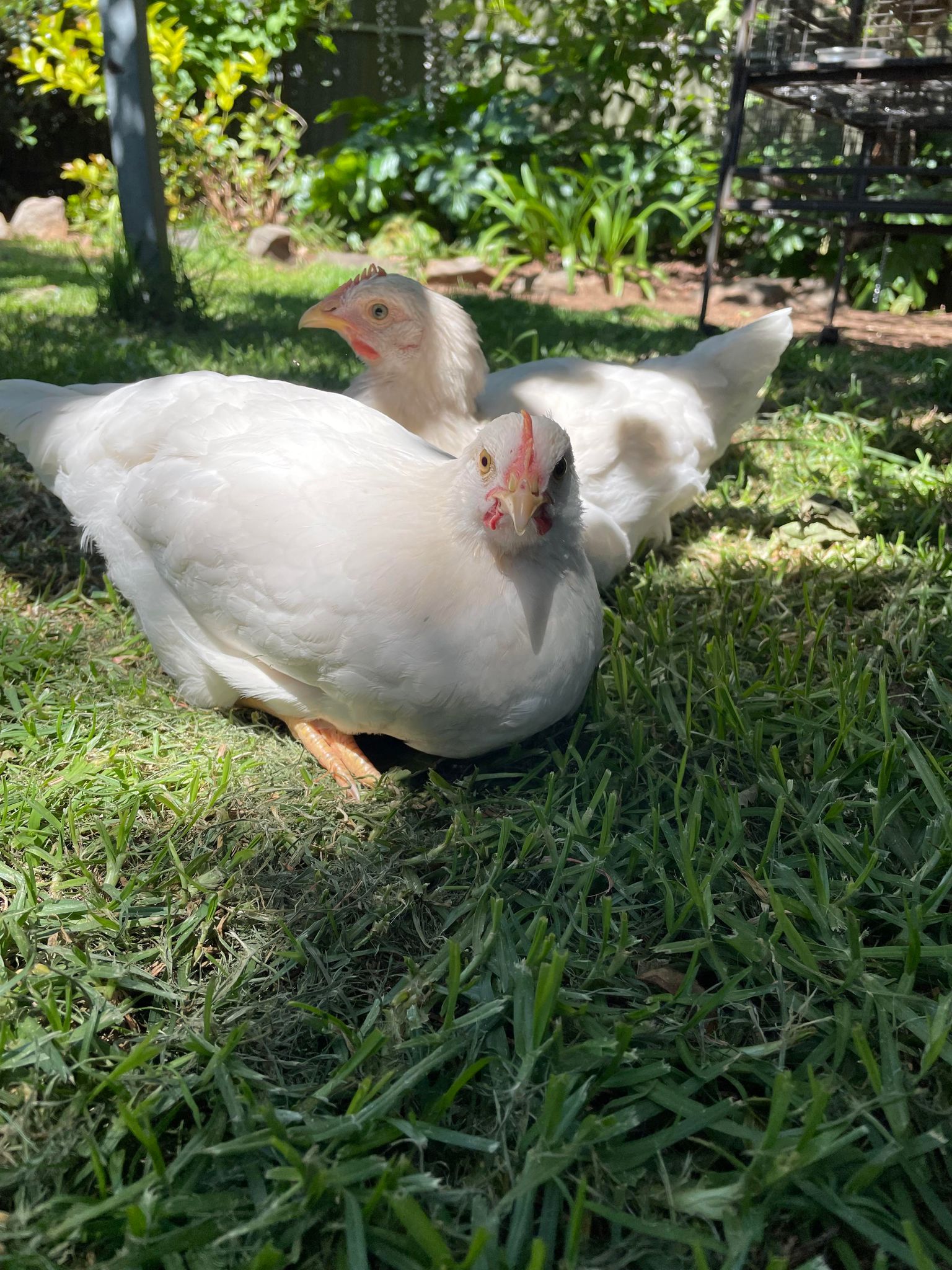 Welcome to my website!